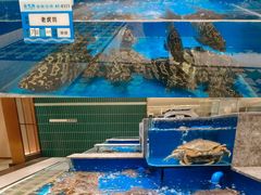 -帝皇海海鲜豆捞(桐泾商务广场店)