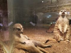 -正佳雨林生态植物园