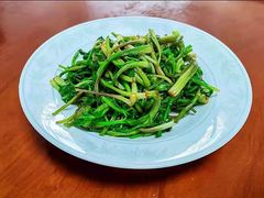 -大班家政月嫂育儿嫂(总部店)