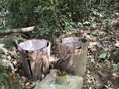 -七仙岭温泉国家森林公园