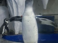 -太平洋海底世界