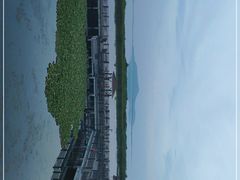 -新木器时代餐厅(太湖新天地店)
