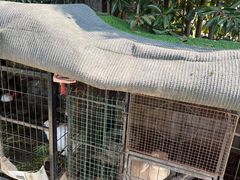 -小鱼草莓采摘园农家乐·小鱼餐厅