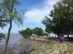 -宝安西湾红树林湿地公园