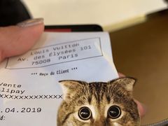 -路易·威登(香榭丽舍大道店)