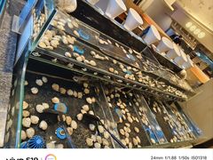 -星伦多自助料理·涮烤一体(江桥万达店)