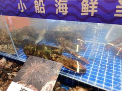 -鲜得莱渔港·小平岛海胆馆(七贤岭店)