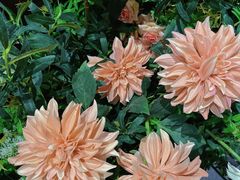 -第101座花园餐厅(湖滨88店)