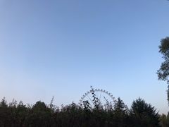 -石家庄市植物园