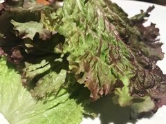 -萨拉伯尔水源素问店·韩国宫廷料理(人民路店)