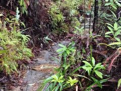 -草庵摩尼教遗址公园