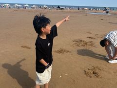 -日照海滨国家森林公园