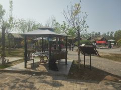 -西青郊野公园