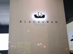 -BLACKSWAN黑天鹅(环球店)