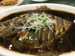 -正阳春鸭子楼(汉沽店)