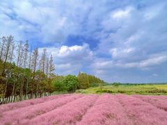-嘉北郊野公园