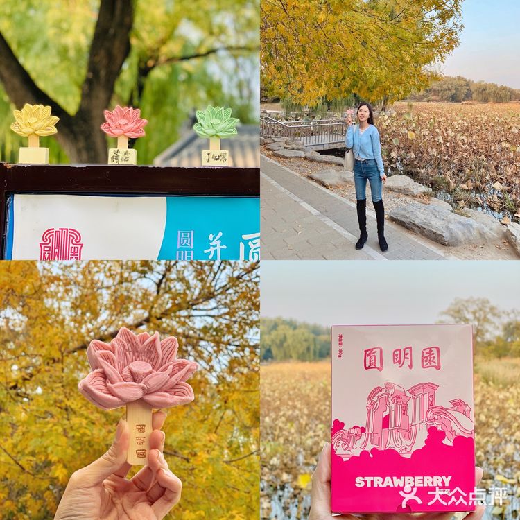 北京｜圆明园游览攻略❗️附地图，详细路线❗️