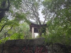 -云龙山