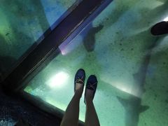 -悉尼海洋生物水族馆