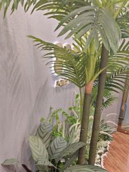 -八佰伴8008星级形象店