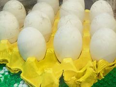 -陆记鹅庄·潮汕菜·狮头鹅(大仟里店)