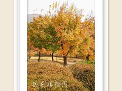 -国家植物园