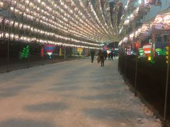 -沈阳奥体冰雪嘉年华