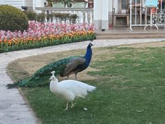 -金庭庄园酒店-停车场