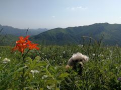 -灵山