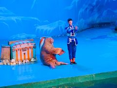 -大连圣亚海洋世界