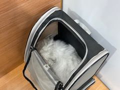 -伟伟宠物医院·CT影像中心·瑞派犬猫综合性门诊(汉口总院)