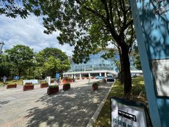 -深圳大学城（南区）体育中心-游泳馆