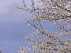 -苏州上方山国家森林公园