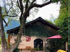 -村上春树