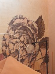 -澳玛·星光医疗美容