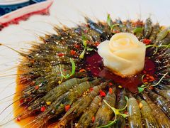 -子福慧(虹桥店)