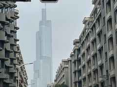 -陶记正宗德州扒鸡(科巷店)