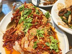香辣鲤鱼-向民炒鸡老店(金泰华府店)