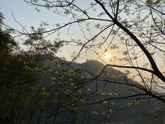 -铁山坪森林公园