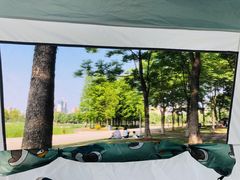 -尚贤河湿地