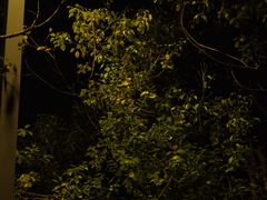 -姐夫家·沈阳黏糊麻辣拌·拌鸡架·冷面(南头古城店)