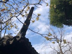 -拙政园