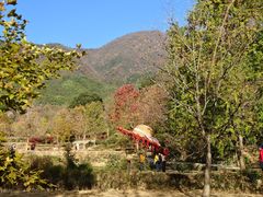 -塔川景区