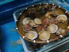 -港畔赶海蒸汽海鲜烧烤自助(仙螺岛店)