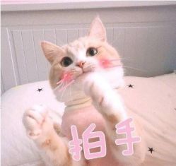 点击看大图 -HD HAIR STYLE