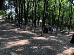 -亲兄弟真人CS团建拓展基地
