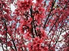 -天龙八部武侠城