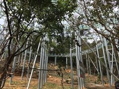 -牛鱼嘴原始生态风景区