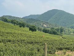 -雅达·阳羡溪山小镇中心