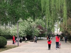 -仁和公园(顺义区)